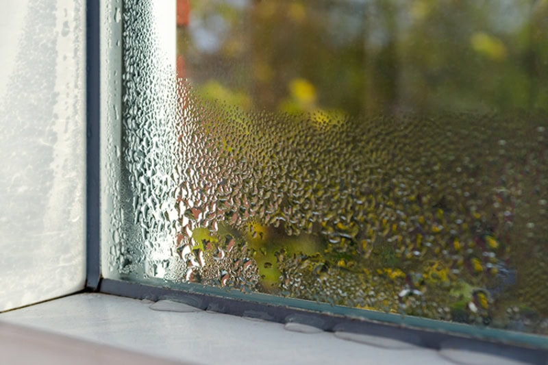 Don't Let Your Home Sweat It Out: A Texas Guide to Humidity Control. Condensation on the inside of a window.