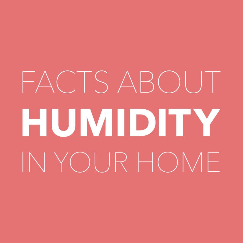 Facts About Humidity